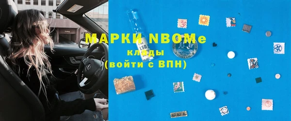 стафф Кодинск