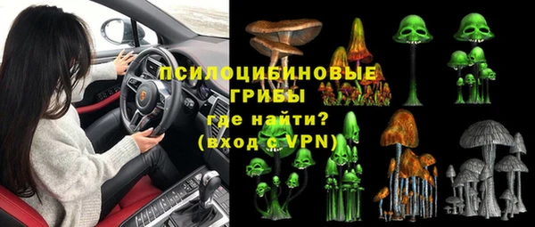 МДПВ Козельск