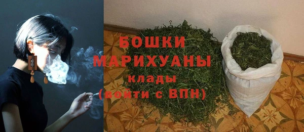 стафф Кодинск