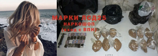 стафф Кодинск