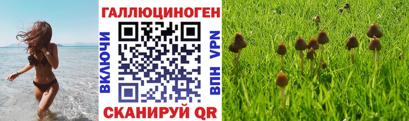 Купить закладки  Буинск  Псилоцибиновые грибы Psilocybine cubensis 